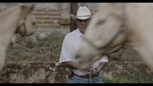 Caballerango — foto 1