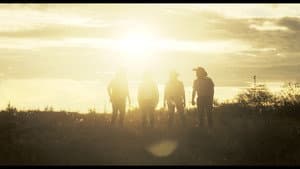 Coyote — foto 4