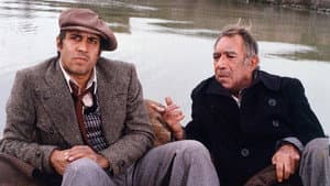 Bluff - Storia di truffe e di imbroglioni — foto 2