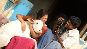 ராமே ஆண்டாலும் ராவணன் ஆண்டாலும் — foto 3
