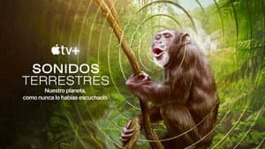 Sonidos de la Tierra — foto 11