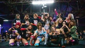 Stardom in NYC — foto 1