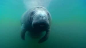 Episodio 9