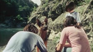 PERRO LISTO, VUELVE CON PAPÁ