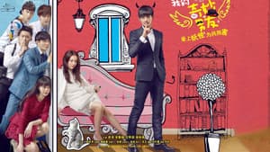 我的奇妙男友 — foto 1