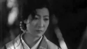 朝の並木路 — foto 6