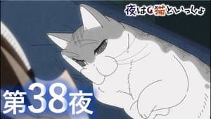 Episodio 38
