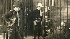 Stampede — foto 1