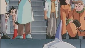 Episodio 31