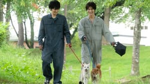犬部！ — foto 2