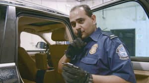 Episodio 8