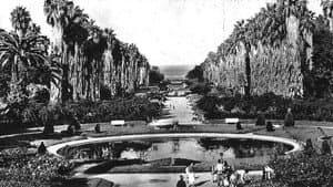 Alger Et Ses Environs — foto 1