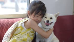 駅までの道をおしえて — foto 3