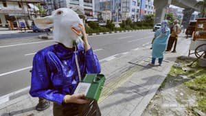 Jawa Randu Di Jalan Jalang — foto 3