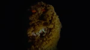 Goosebumps: It Came from Beneath the Sink — foto 1