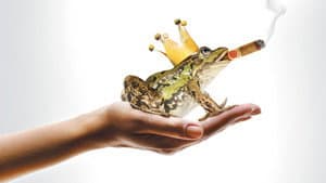 Un Prince (presque) charmant — foto 4