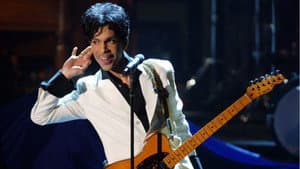Prince : Musicology Live 2004ever (Live in Los Angeles) — foto 1