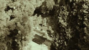 Mujeres recogiendo olivas — foto 1