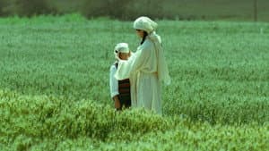 Vivir la tierra — foto 1