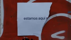 Amor — foto 10
