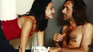 Um Homem Não É um Gato — foto 1