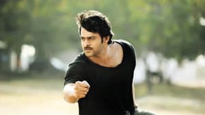డార్లింగ్ — foto 3
