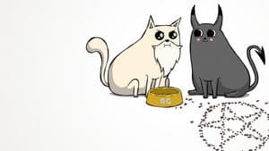 Gatitos explosivos — foto 4