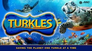 Turkles — foto 1