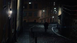 The Rain — foto 2