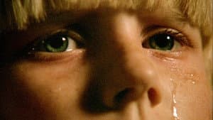 The Brood — foto 1