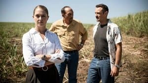 Episodio 8