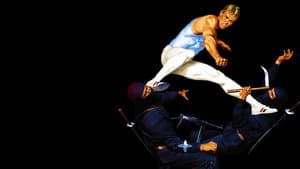 Gymkata — foto 2