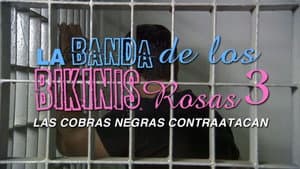 La banda de los bikinis rosas 3 - Las cobras negras contraatacan — foto 5
