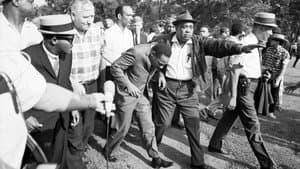 La Lucha Pacífica De Martin Luther King — foto 5