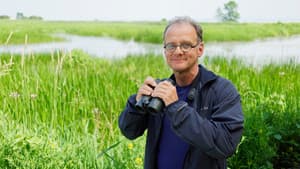 Fou des oiseaux — foto 1