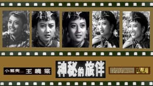 神秘的旅伴 — foto 1
