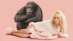 Chimp Crazy — foto 1