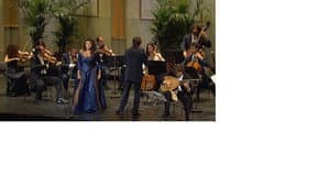 Viva Vivaldi — foto 1