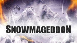 Snowmageddon — foto 5