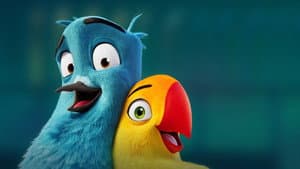 Lovebirds — foto 1