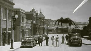 Tarántula — foto 1