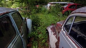 The Bug: Life and Times of the People's Car — foto 1