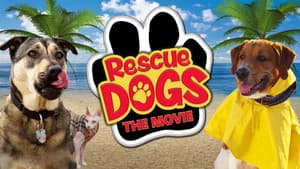 Rescue Dogs — foto 1