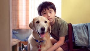 我的狗蚪蚪 — foto 2