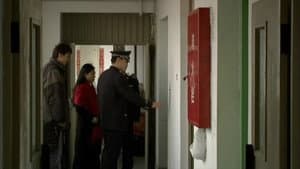 今天的鱼怎么样？ — foto 1