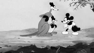 El canguro de Mickey — foto 1