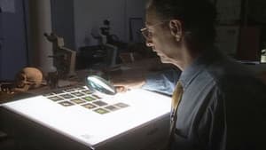 Episodio 7