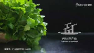 Agripalma china