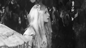 Alice in Wonderland — foto 8