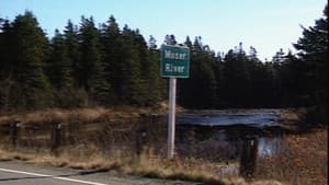 The Battle for Moser River — foto 1